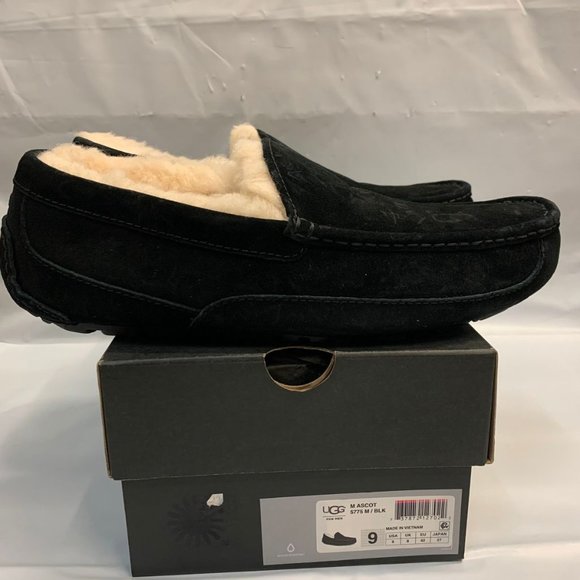 ugg ascot black